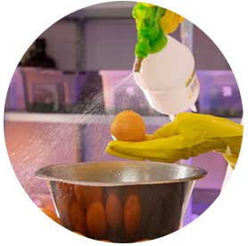 Essbare Obst-Beschichtung für weniger Verschwendung und mehr Nachhaltigkeit: Liquidseal hält Früchte doppelt so lange frisch – auch dank Kuraray Poval Essbare Obst-Beschichtung für weniger Verschwendung und mehr Nachhaltigkeit: Liquidseal hält Früchte doppelt so lange frisch – auch dank Kuraray Poval