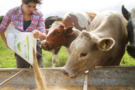 Alimentation humaine et animale